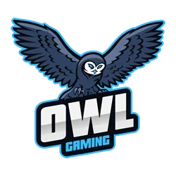 OWL-Multigaming